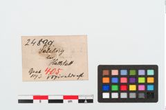 Etiketten zu Bronzespiraldrahtarmring (NHMW-PRAE-024899)